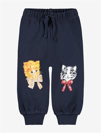MOLO Simeon - FANCY KITTENS - 80