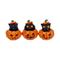 Nemesis: Three Wise Pumpkin Patch KOTIIN – kuva 2