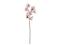 Bloomingville Chrysantemum – kuva 5