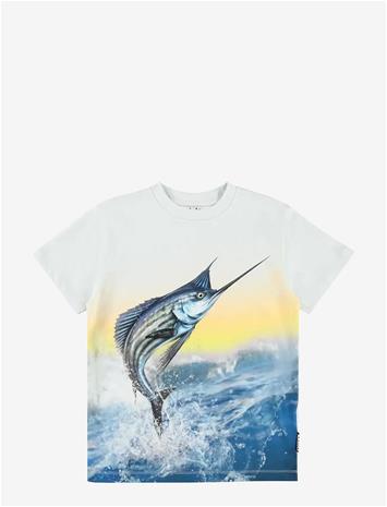 MOLO Roxo - SAILFISH - 104
