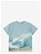 MOLO Riley - BLUISH SURFER - 98 – kuva 2