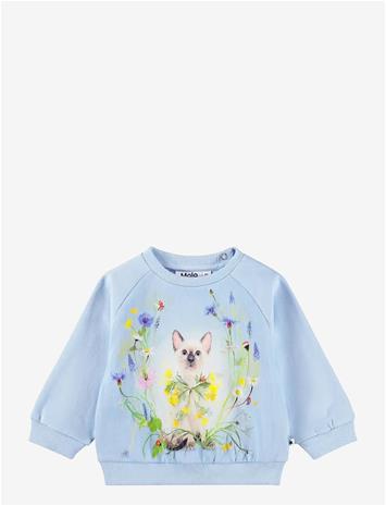 MOLO Disc - MEADOW KITTEN - 68 – kuva 2/2