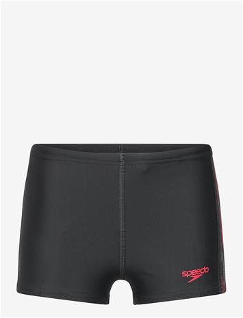 SPEEDO Placement Aquashort - ANTHRACITE/HIGH RISK RED - 176