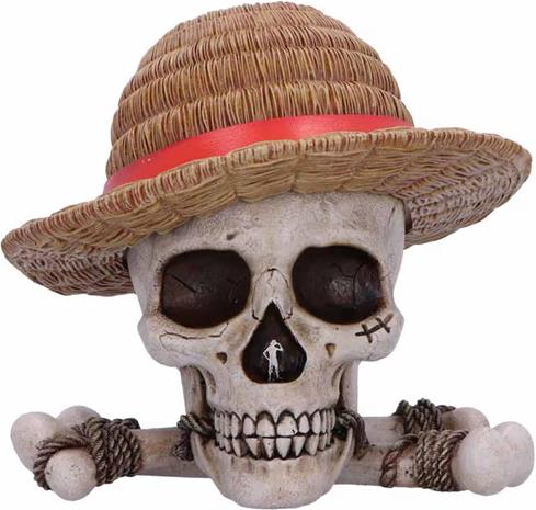 TBN One Piece Luffy Jolly Roger Box