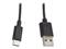 Lanberg usb-kaapeli 1 m CA-USBO-10CC-0010-BK – kuva 3