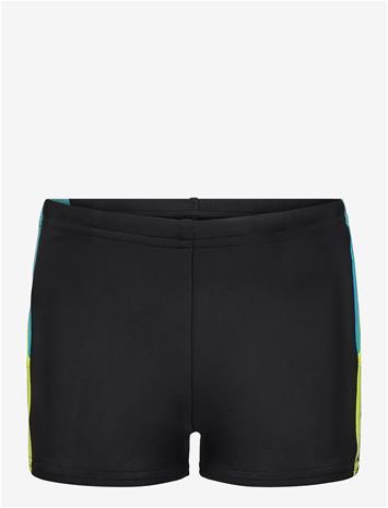 SPEEDO Dive Aquashort - ANTHRACITE/CITRUS GREEN - 152