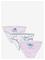 LILO & STITCH Panties - BOX3 - 110/116 – kuva 3