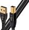 AudioQuest 3m Pearl USB A-B USBPE – kuva 2