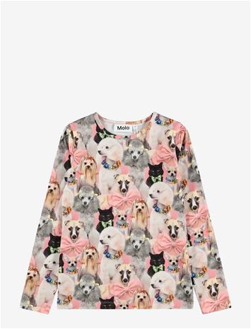 MOLO Rose - EMBELLISHED - 116