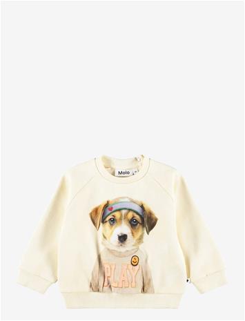 MOLO Disc - GAME PUP - 80