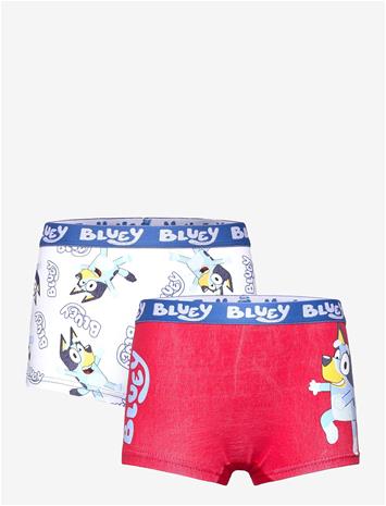 BLUEY Boxer - SET1 - 104/110
