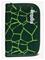 ERGOBAG Hard Bearrex - GREEN - 1.1 L – kuva 2