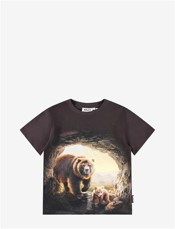 MOLO Riley - CAVE BEARS - 98