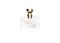 Bvlgari Splendida Patchouli Tentation Eau De Parfum Spray 100ml, Tuoksut – kuva 2