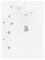 CELAVI Undershirt 2-Pack - CLOUD - 130 – kuva 2