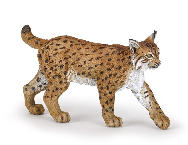 Ilves