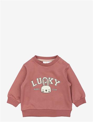 THE NEW Tnsbpheba Sweatshirt - WITHERED ROSE - 56 – kuva 2/2