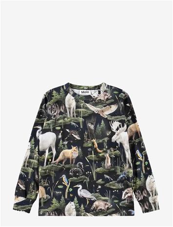MOLO Rill - FOREST FAUNA - 140