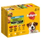 Pedigree Pouch -monipakkaus - Säästöpakkaus: Sekalainen hyytelövalikoima (4 makua) 24 x 100 g
