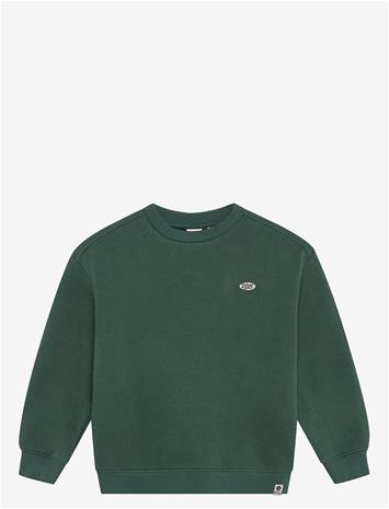 DAILY 7 Oversized Sweater Basic - JUNGLE GREEN - 110