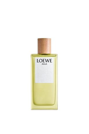 Loewe Agua de Loewe EDT U 100 ml