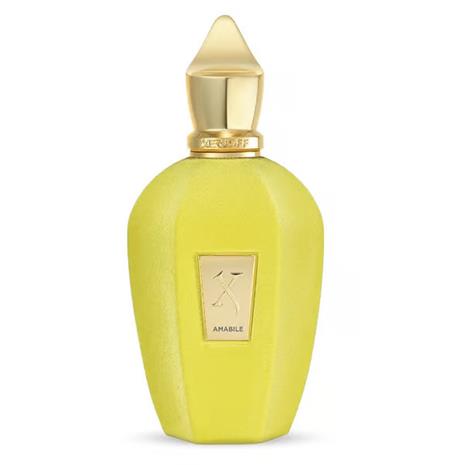 Xerjoff Vibe Amabile - EdP 100 ml – kuva 6/6