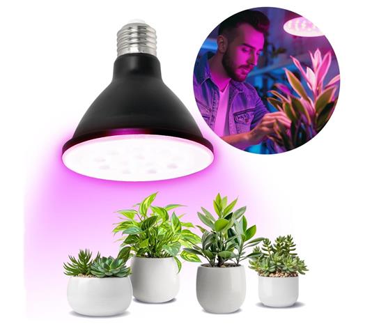 LED Kasvipolttimo VITABLOOM E27/9W/230V 1200K musta - Brilagi