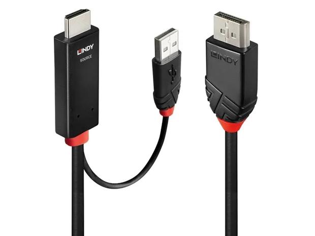 Lindy adapter cable - 3 m