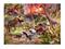 Palapeli 60 palaa Dinosaurukset 051649 Ravensburger – kuva 2