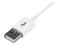 StarTech.com USBEXTPAA1MW – kuva 4