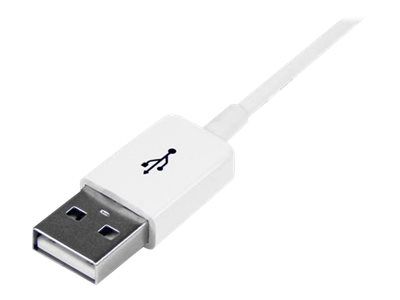 StarTech.com USBEXTPAA1MW