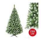 Mäntyinen joulukuusi 250 cm
