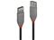 Lindy Anthra Line - USB extension cable - USB to USB - 1 m – kuva 3