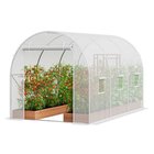 Tunnelikasvihuone galvanoidulla rungolla, 2,9x2x1,9 m, valkoinen PE-pinnoite