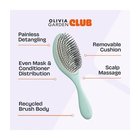 Olivia Garden Club The Reset Wet&Curly Detangling Blue Lapioharja 1 kpl