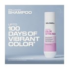 Goldwell Dualsenses color Extra Rich Brilliance Shampoo 250 ml