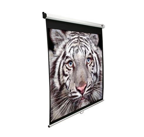 85'' manual Series Screen
