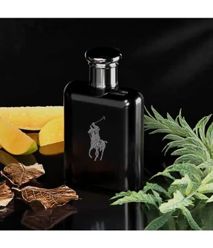 Ralph Lauren Polo Black Eau de Toilette 200 ml