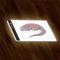 Maxlife LED-piirustusalusta A4 – kuva 3