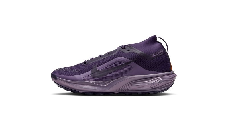 ACG Pegasus Trail GORE-TEX – kuva 1/3