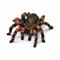 SCHLEICH Schleich Tarantula - MULTI - One Size – kuva 2