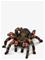 SCHLEICH Schleich Tarantula - MULTI - One Size – kuva 3