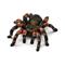 SCHLEICH Schleich Tarantula - MULTI - One Size – kuva 4