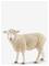 SCHLEICH Schleich Sheep - MULTI - One Size – kuva 2