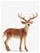 SCHLEICH Schleich White-Tailed Buck - MULTI - One Size – kuva 2