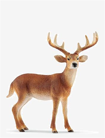 SCHLEICH Schleich White-Tailed Buck - MULTI - One Size – kuva 2/2