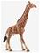 SCHLEICH Schleich Giraffe Male - MULTI - One Size – kuva 2