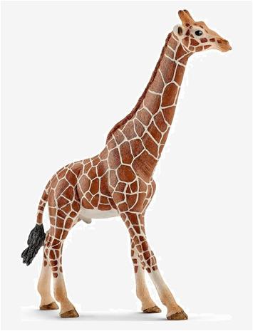 SCHLEICH Schleich Giraffe Male - MULTI - One Size