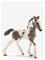 SCHLEICH Schleich Tinker Foal - MULTI - One Size – kuva 2
