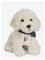 Teddy Hermann Sitting Labradoodle 28 Cm - White - ONE SIZE – kuva 3